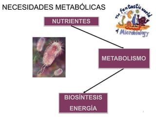 NECESIDADES METABÓLICAS
BIOSÍNTESIS
ENERGÍA
NUTRIENTES
METABOLISMO
3
 