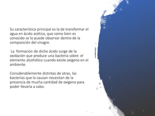 Su característica principal es la de transformar el
agua en ácido acético, que como bien es
conocido se lo puede observar dentro de la
composición del vinagre.
La formación de dicho ácido surge de la
oxidación que produce una bacteria sobre el
elemento alcohólico cuando existe oxigeno en el
ambiente.
Considerablemente distintas de otras, las
bacterias que la causan necesitan de la
presencia de mucha cantidad de oxigeno para
poder llevarla a cabo.
37
 