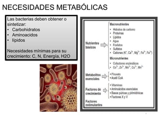 Las bacterias deben obtener o
sintetizar:
• Carbohidratos
• Aminoacidos
• lípidos
Necesidades mínimas para su
crecimiento: C, N, Energía, H2O
NECESIDADES METABÓLICAS
4
 