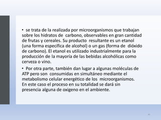 • se trata de la realizada por microorganismos que trabajan
sobre los hidratos de carbono, observables en gran cantidad
de frutas y cereales. Su producto resultante es un etanol
(una forma específica de alcohol) o un gas (forma de dióxido
de carbono). El etanol es utilizado industrialmente para la
producción de la mayoría de las bebidas alcohólicas como
cerveza o vino.
• Por otra parte, también dan lugar a algunas moléculas de
ATP pero son consumidas en simultáneo mediante el
metabolismo celular energético de los microorganismos.
En este caso el proceso en su totalidad se dará sin
presencia alguna de oxigeno en el ambiente.
40
 