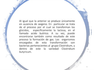 Al igual que la anterior se produce únicamente
en ausencia de oxigeno. En particular se trata
de el proceso por el cual se transforman los
glúcidos, específicamente la lactosa, en el
llamado acido butírico. A su vez, puede
encontrarse también como resultado de este
proceso la formación de gas. Los organismos
encargados de esta transformación son
bacterias pertenecientes al grupo Clostridium, y
dentro de este la variedad Clostridium
butyricum.
42
 