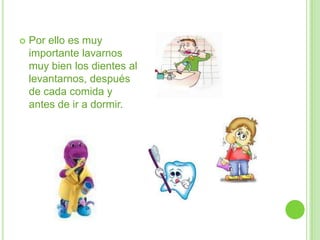 Por ello es muy importante lavarnos muy bien los dientes al levantarnos, después de cada comida y antes de ir a dormir.