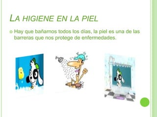 La higiene en la pielHay que bañarnos todos los días, la piel es una de las barreras que nos protege de enfermedades.