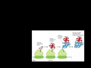 Unidad 3 biología celular