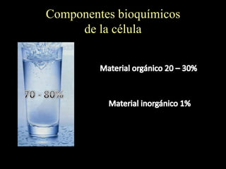 Componentes bioquímicos
     de la célula
 