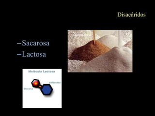 Disacáridos



–Sacarosa
–Lactosa
 