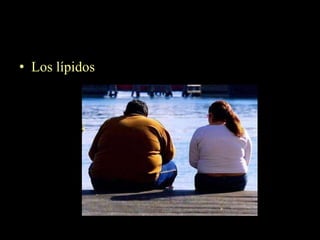 • Los lípidos
 