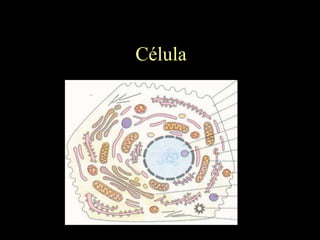 Célula
 