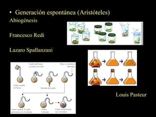 • Generación espontánea (Aristóteles)
Abiogénesis

Francesco Redi

Lazaro Spallanzani




                                        Louis Pasteur
 