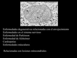 Enfermedades degenerativas relacionadas con el envejecimiento
Enfermedades en el sistema nervioso
Enfermedad de Parkinson
Enfermedad de Alzheimer
Cardiopatías
Enfermedades músculares

Relacionadas con lesiones mitocondriales
 