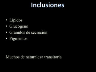 •   Lípidos
•   Glucógeno
•   Granulos de secreción
•   Pigmentos



Muchos de naturaleza transitoria
 
