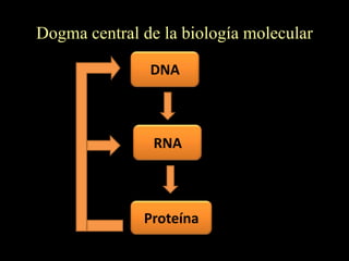 Dogma central de la biología molecular

               DNA



                RNA



              Proteína
 