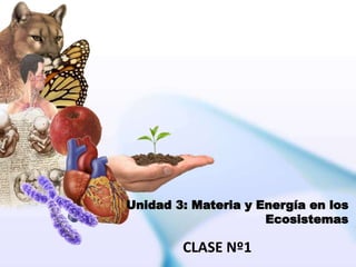 Unidad 3: Materia y Energía en los
Ecosistemas
CLASE Nº1
 