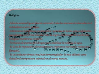 Biológicas:

-Solvente universal (generalmente universal), todas las reacciones involucradas en el
metabolismo ocurren en agua.
-Interacciones hidrofóbicas; pueden rodear moléculas de lípidos para solubilizarlas
parcialmente y así formar miscelas. Esto da origen a la formación de membranas
biológicas (membranas celulares).
-Formación de puentes de hidrogeno para estabilizar la molécula de agua.
-Es la vía de respiración y alimentación para organismos marinos (lo realizan por
filtración).
-Es un conductor térmico, muy buen termorregulador. Es muy utilizado como
disipador de temperatura, sobretodo en el cuerpo humano.
 