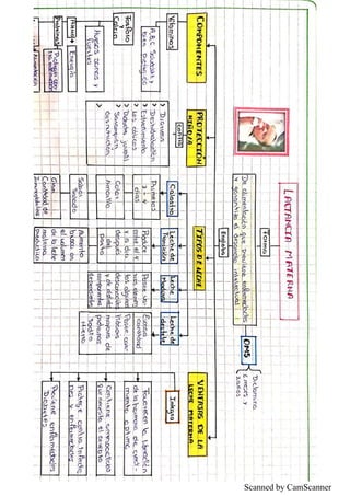 Scanned by CamScanner
 