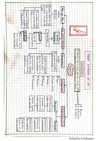 Scanned by CamScanner
 