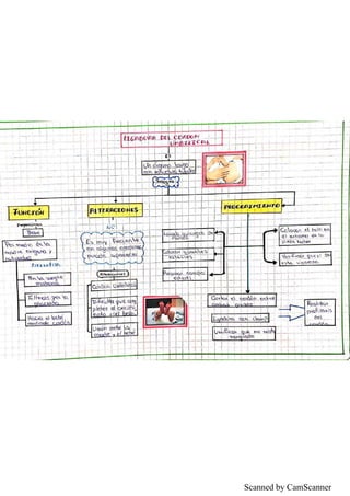 Scanned by CamScanner
 