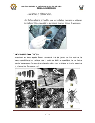 DIRECCION NACIONAL DE POLICIA JUDICIAL E INVESTIGACIONES
II CURSO DE POLICIA JUDICIAL

- IMPRESAS O ESTAMPADAS.

- B. De forma latente o invisible: para su revelado o visionado se utilizaran
reveladores físicos, reveladores químicos o sistemas ópticos de visionado.

3. INDICIOS ENTOMOLOGICOS:
Consisten en toda aquella fauna cadavérica que se genera en los estados de
descomposición de un cadáver, por lo tanto son indicios específicos de los delitos
contra las personas. Su estudio aporta datos tales como la data de la muerte, traslados
y movimientos del cadáver, etc.

- 25 -

 