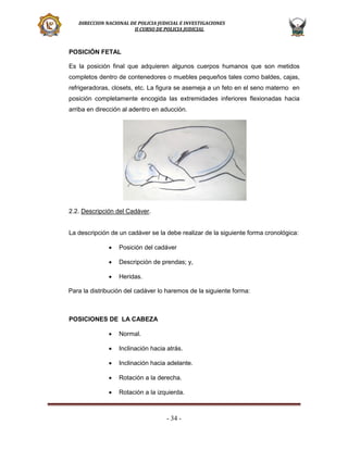 DIRECCION NACIONAL DE POLICIA JUDICIAL E INVESTIGACIONES
II CURSO DE POLICIA JUDICIAL

POSICIÓN FETAL
Es la posición final que adquieren algunos cuerpos humanos que son metidos
completos dentro de contenedores o muebles pequeños tales como baldes, cajas,
refrigeradoras, closets, etc. La figura se asemeja a un feto en el seno materno en
posición completamente encogida las extremidades inferiores flexionadas hacia
arriba en dirección al adentro en aducción.

2.2. Descripción del Cadáver.

La descripción de un cadáver se la debe realizar de la siguiente forma cronológica:


Posición del cadáver



Descripción de prendas; y,



Heridas.

Para la distribución del cadáver lo haremos de la siguiente forma:

POSICIONES DE LA CABEZA


Normal.



Inclinación hacia atrás.



Inclinación hacia adelante.



Rotación a la derecha.



Rotación a la izquierda.

- 34 -

 