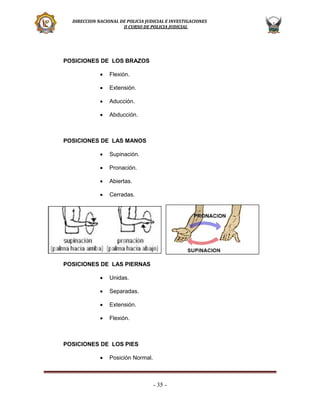 DIRECCION NACIONAL DE POLICIA JUDICIAL E INVESTIGACIONES
II CURSO DE POLICIA JUDICIAL

POSICIONES DE LOS BRAZOS


Flexión.



Extensión.



Aducción.



Abducción.

POSICIONES DE LAS MANOS


Supinación.



Pronación.



Abiertas.



Cerradas.

POSICIONES DE LAS PIERNAS


Unidas.



Separadas.



Extensión.



Flexión.

POSICIONES DE LOS PIES


Posición Normal.

- 35 -

 