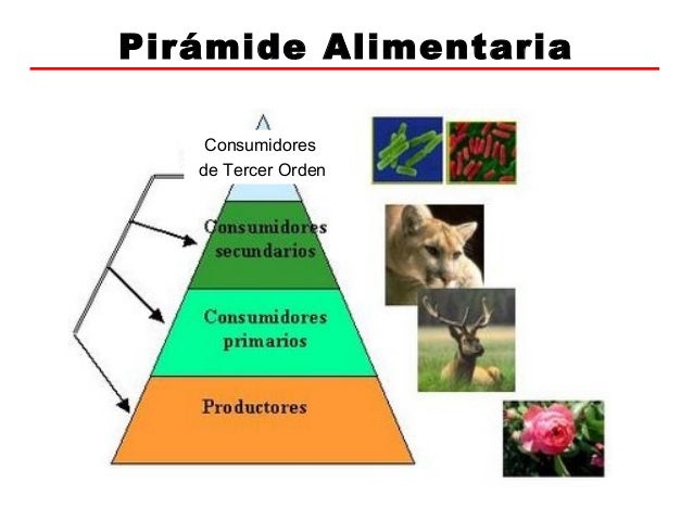 ecologia