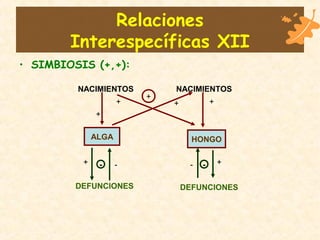 Relaciones
Interespecíficas XII
• SIMBIOSIS (+,+):
ALGA HONGO
NACIMIENTOS NACIMIENTOS
DEFUNCIONES DEFUNCIONES
+
+ +
+
+
+ +-- --
 