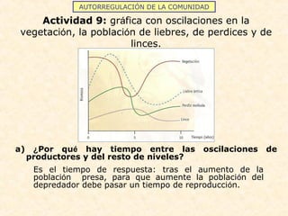 AUTORREGULACIÓN DE LA COMUNIDAD
Actividad 9: gráfica con oscilaciones en la
vegetación, la población de liebres, de perdices y de
linces.
a) ¿Por qué hay tiempo entre las oscilaciones de
productores y del resto de niveles?
Es el tiempo de respuesta: tras el aumento de la
población presa, para que aumente la población del
depredador debe pasar un tiempo de reproducción.
 