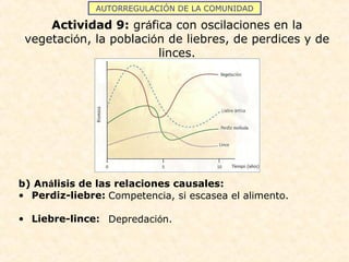 AUTORREGULACIÓN DE LA COMUNIDAD
Actividad 9: gráfica con oscilaciones en la
vegetación, la población de liebres, de perdices y de
linces.
b) Análisis de las relaciones causales:
• Perdiz-liebre:
• Liebre-lince:
Competencia, si escasea el alimento.
Depredación.
 