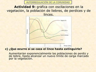 AUTORREGULACIÓN DE LA COMUNIDAD
Actividad 9: gráfica con oscilaciones en la
vegetación, la población de liebres, de perdices y de
linces.
c) ¿Qué ocurre si se caza el lince hasta extinguirlo?
Aumentarían exponencialmente las poblaciones de perdiz y
de liebre, hasta alcanzar un nuevo límite de carga marcado
por la vegetación.
 