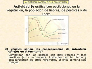 AUTORREGULACIÓN DE LA COMUNIDAD
Actividad 9: gráfica con oscilaciones en la
vegetación, la población de liebres, de perdices y de
linces.
d) ¿Cuáles serían las consecuencias de introducir
conejos en el territorio?
Competirán con las liebres: son más voraces y más
prolíficos (su r es mayor). Acabarían con la hierba y
desaparecerían los otros herbívoros. El lince comería sólo
conejos.
 
