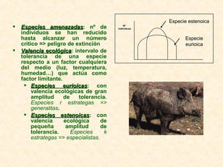  Especies amenazadasEspecies amenazadas: nº de
individuos se han reducido
hasta alcanzar un número
crítico => peligro de extinción
 Valencia ecológicaValencia ecológica: intervalo de
tolerancia de una especie
respecto a un factor cualquiera
del medio (luz, temperatura,
humedad…) que actúa como
factor limitante.
 Especies eurioicasEspecies eurioicas: con
valencia ecológicas de gran
amplitud de tolerancia.
Especies r estrategas =>
generalitas.
 Especies estenoicasEspecies estenoicas: con
valencia ecológica de
pequeña amplitud de
tolerancia. Especies k
estrategas => especialistas.
Especie estenoica
Nº
individuos
Especie
eurioica
 