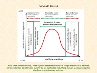 curva de Gauss
Para cada factor limitante , cada especie presenta una zona o rango de tolerancia definida
por unos límites de tolerancia a partir de los cuales los individuos mueren y una zona óptima
donde su crecimiento es máximo.
 