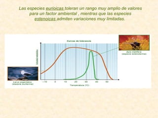 Las especies eurioicas toleran un rango muy amplio de valores
para un factor ambiental , mientras que las especies
estenoicas admiten variaciones muy limitadas.
 