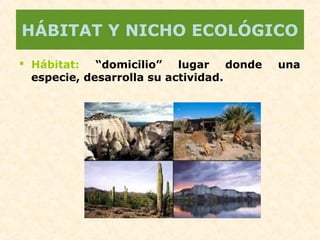 HÁBITAT Y NICHO ECOLÓGICO
 Hábitat: “domicilio” lugar donde una
especie, desarrolla su actividad.
 