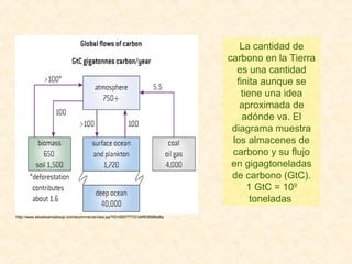 http://www.ebooksampleoup.com/ecommerce/view.jsp?ID=000777721d4f838996e8a
La cantidad de
carbono en la Tierra
es una cantidad
finita aunque se
tiene una idea
aproximada de
adónde va. El
diagrama muestra
los almacenes de
carbono y su flujo
en gigagtoneladas
de carbono (GtC).
1 GtC = 109
toneladas
 