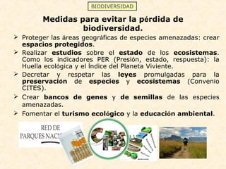 BIODIVERSIDAD
Medidas para evitar la pérdida de
biodiversidad.
 Proteger las áreas geográficas de especies amenazadas: crear
espacios protegidos.
 Realizar estudios sobre el estado de los ecosistemas.
Como los indicadores PER (Presión, estado, respuesta): la
Huella ecológica y el Índice del Planeta Viviente.
 Decretar y respetar las leyes promulgadas para la
preservación de especies y ecosistemas (Convenio
CITES).
 Crear bancos de genes y de semillas de las especies
amenazadas.
 Fomentar el turismo ecológico y la educación ambiental.
 