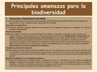 Principales amenazas para la
biodiversidad
1. Destrucción y fragmentación del hábitat.
La Unión Mundial para la Conservación de la Naturaleza (IUCN) estima que alrededor del 85% de las especies en
peligro están en esta condición debido a la pérdida de su hábitat.
Conversión a la agricultura
Casi todas las prácticas agrícolas requieren la eliminación de la vegetación original y su reemplazo por cultivos y
animales domesticados.
Prácticas forestales
Desde hace siglos, los bosques han sido eliminados para obtener combustible, materiales de construcción, para
despejar el terreno para la agricultura, etc. Estas prácticas se conocen como deforestación, concepto que se
refiere a la destrucción de gran parte de la tierra boscosa. Por otro lado, además de servir como cobijo a
animales y plantas, los bosques proporcionan muchos otros servicios al ecosistema, modificando el clima,
reduciendo la incidencia de inundaciones y protegiendo al suelo de la erosión. Las plantas mantienen también el
agua en las superficies, por lo que reducen el índice de desbordamientos. Al disminuir, una mayor cantidad de
agua penetra en el suelo, recargando los acuíferos.
Pastizales y prácticas de pastoreo
Eliminan específicamente ciertas especies de plantas, bien por ser venenosas o bien por no servir de alimento para
los animales. En otros casos, se producen persecuciones y matanzas de la fauna nativa, si ésta representa una
amenaza para el ganado; es el caso de predadores o de otras especies que pueden transmitir enfermedades al
ganado.
Pérdida del hábitat en los ecosistemas acuáticos
El método más utilizado para recolectar peces y mariscos que viven en profundidad es el que utiliza las redes de
arrastre, produciendo una pérdida total de l ecosistema. Los lagos y ríos son modificados para la navegación,
irrigación, control de inundaciones, generación de energía y para la práctica de deportes acuáticos, lo que altera
la cantidad y especies de organismos acuáticos presentes en una zona.
 