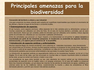 Principales amenazas para la
biodiversidad
Conversión del territorio a urbano y uso industrial
Una gran proporción de áreas urbanas está cubierta por superficies impermeables que impiden el crecimiento de
las plantas y desvían el agua de las lluvias a corrientes locales.
2.Sobreexplotación de especies.
El ser humano, como especie omnívora, utiliza especies de lo más variadas para su alimentación, aunque en
muchas ocasiones son utilizados con otros los fines. Es el caso de muchas plantas y animales, que se usan
como decoración, flores que son cortadas, pieles de animales que son utilizadas como vestidos; incluso algunas
partes de animales son utilizadas por sus supuestas cualidades afrodisíacas.
Entre las actividades que provocan un mayor impacto a la biodiversidad se encuentran la pesca excesiva e
incontrolada por parte de las industrias pesqueras, la recolección no sostenible de especies marinas y
dulceacuícolas, y la captura para el comercio de la acuariofilia.
3.Introducción de especies exóticas y enfermedades.
Muchas especies llegan de manera accidental, como polizones en materiales importados, otras directamente
son introducidas por el hombre. Aunque muchas especies exóticas no prosperan en las nuevas áreas, algunas lo
han hecho a costa de las especies autóctonas, compitiendo con ellas por los recursos alimenticios, cazándolas, o
introduciendo parásitos que provocan enfermedades a las que éstas no pueden hacer frente.
La introducción de especies exóticas es especialmente dañina en los ecosistemas insulares, ya de por sí muy
frágiles. Es el caso de las ratas, que han provocado en muchas islas un impacto importante sobre la anidación
de las aves, ya que se comen sus huevos y matan a sus crías.
Los ecosistemas de agua dulce también se han visto afectados de manera radical por las introducciones
accidentales de especies como el mejillón cebra o el cangrejo americano. En el caso del mejillón su presencia
tiene tres impactos principales, ya que atasca las tuberías de las plantas de tratamiento de aguas, establece sus
colonias sobre las de los mejillones nativos, ocasionándoles la muerte, y altera los ecosistemas al filtrar
demasiado plancton y permitir que crezcan más plantas acuáticas.
 