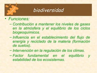 • Funciones:
– Contribución a mantener los niveles de gases
en la atmósfera y el equilibrio de los ciclos
biogeoquímicos.
– Influencia en el establecimiento del flujo de
energía y reciclado de la materia (formación
de suelos).
– Intervención en la regulación de los climas.
– Factor fundamental en el equilibrio y
estabilidad de los ecosistemas.
biodiversidad
 