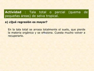 Actividad : Tala total o parcial (quema de
pequeñas áreas) de selva tropical.
a) ¿Qué regresión es mayor?
En la tala total se arrasa totalmente el suelo, que pierde
la materia orgánica y se erosiona. Cuesta mucho volver a
recuperarlo.
 