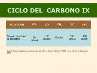 CICLO DEL CARBONO IX
INDICADOR CO2 CO CH4 N2O CFC
Tiempo de vida en
la atmósfera
20
(años)
1-2
meses
10(años)
150
(años)
130
(años)
Fuente: Grupo intergubernamental de Expertos sobre el Cambio Climático (IPCC): Tercer Informe de Evaluación
2001.
 