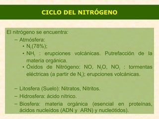 El nitrógeno se encuentra:
– Atmósfera:
• N2 (78%);
• NH3 : erupciones volcánicas. Putrefacción de la
materia orgánica.
• Óxidos de Nitrógeno: NO, N2O, NO2 : tormentas
eléctricas (a partir de N2); erupciones volcánicas.
– Litosfera (Suelo): Nitratos, Nitritos.
– Hidrosfera: ácido nítrico.
– Biosfera: materia orgánica (esencial en proteínas,
ácidos nucleídos (ADN y ARN) y nucleótidos).
CICLO DEL NITRÓGENO
 