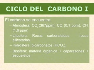 El carbono se encuentra:
– Atmósfera: CO2 (367ppm), CO (0,1 ppm), CH4
(1,6 ppm)
– Litosfera: Rocas carbonatadas, rocas
silicatadas.
– Hidrosfera: bicarbonatos (HCO3
-
).
– Biosfera: materia orgánica + caparazones +
esqueletos
CICLO DEL CARBONO I
 