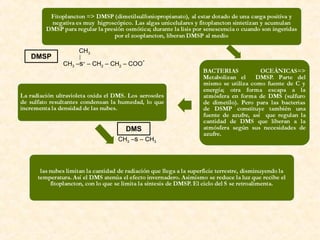 CH3
CH3 –s+
– CH2 – CH2 – COO
-
DMSP
CH3 –s – CH3
DMS
 