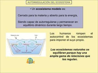 AUTORREGULACIÓN DEL ECOSISTEMA
• Un ecosistema modelo es:
Cerrado para la materia y abierto para la energía,
Siendo capaz de autorregularse y permanecer en
equilibrio dinámico durante largo tiempo.
Los humanos rompen el
autocontrol de los ecosistemas
para imponer el suyo propio.
Los ecosistemas naturales se
equilibran porque hay una
amplia gama de relaciones que
los regulan.
 