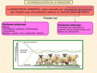 AUTORREGULACIÓN DE LA POBLACIÓN
La RESISTENCIA AMBIENTAL viene marcada por un conjunto de factores
que impiden que una población alcance su máximo potencial biótico
Factores externos:
Bióticos:
depredadores, parásitos, enfermedades,
competidores
Abióticos: escasez, clima, catástrofes, hábitats, …
Factores internos:
El aumento de la densidad de
población afecta negativamente a los
hábitos de reproducción
Pueden ser
 