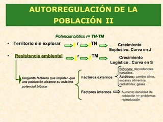 • Territorio sin explorar r TN
• Resistencia ambientalResistencia ambiental r TM
AUTORREGULACIÓN DE LA
POBLACIÓN II
Potencial bióticoPotencial biótico r= TN-TMr= TN-TM
Crecimiento
Explosivo. Curva en J
Crecimiento
Logístico . Curva en S
Conjunto factores que impiden que
una población alcance su máximo
potencial biótico
Factores externos
Factores internos
Bióticos: depredadores
parásitos..
Abióticos: cambio clima,
escasez alimentos,
catástrofes, gases….
Aumento densidad de
población => problemas
reproducción
 