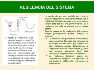  La resilencia es una medida de como el
sistema responde a una perturbación. Es la
habilidad del sistema a retornar a su estado
inicial después de una perturbación. Si la
resilencia es baja se entrará en un nuevo
estado.
 Cuanto mayor es la resilencia del sistema
mayor perturbación puede afrontar el
sistema.
 La resilencia en general es considerada
como positiva. Ejemplo los bosques de
Eucalipto en Australia que tienen una
alta resilencia porque después de un
fuego sus troncos crean brotes y como
las demás especies han sido
destruidas no presentan competencia.
 La resilencia también puede ser
considerada negativa, por ejemplo con
las bacteria patógenas resistentes a
antibióticos.
RESILENCIA DEL SISTEMA
 
