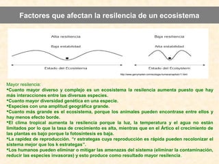 Factores que afectan la resilencia de un ecosistema
http://www.gerrymarten.com/ecologia-humana/capitulo11.html
Mayor resilencia:
Cuanto mayor diverso y complejo es un ecosistema la resilencia aumenta puesto que hay
más interacciones entre las diversas especies.
Cuanto mayor diversidad genética en una especie.
Especies con una amplitud geográfica grande.
Cuanto más grande es el ecosistema, porque los animales pueden encontrase entre ellos y
hay menos efecto borde.
El clima tropical aumenta la resilencia porque la luz, la temperatura y el agua no están
limitados por lo que la tasa de crecimiento es alta, mientras que en el Ártico el crecimiento de
las plantas es bajo porque la fotosíntesis es baja.
La rapidez de reproducción. “r estrategas cuya reproducción es rápida pueden recolonizar el
sistema mejor que los k estrategas”.
Los humanos pueden eliminar o mitigar las amenazas del sistema (eliminar la contaminación,
reducir las especies invasoras) y esto produce como resultado mayor resilencia.
 