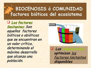 BIOCENOSIS ó COMUNIDAD
factores bióticos del ecosistema
 Las adaptaciones
optimizan los
factores limitantes
disponibles
 Los factoresLos factores
limitantes:limitantes: SonSon
aquellos factoresaquellos factores
bióticos o abióticosbióticos o abióticos
que se encuentran enque se encuentran en
un valor crítico,un valor crítico,
determinando eldeterminando el
máximo desarrollomáximo desarrollo
que alcanza unaque alcanza una
población.población.
 